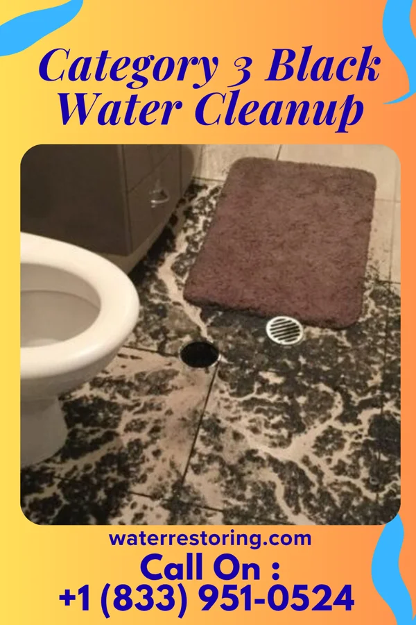 Category 3 Black Water Cleanup in Hart, MI