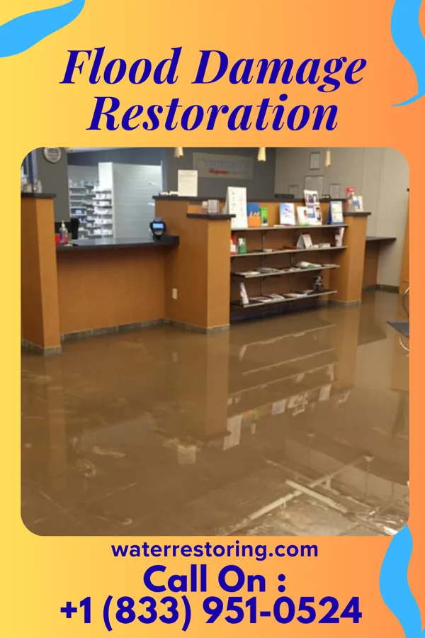Flood Damage Restoration in Hart, MI