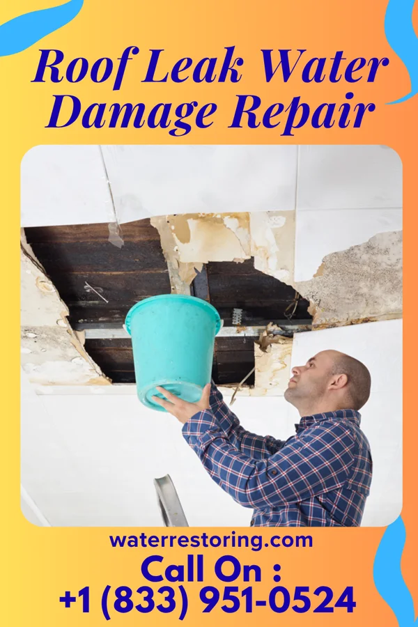 Roof Leak Water Damage Repair in Hart, MI